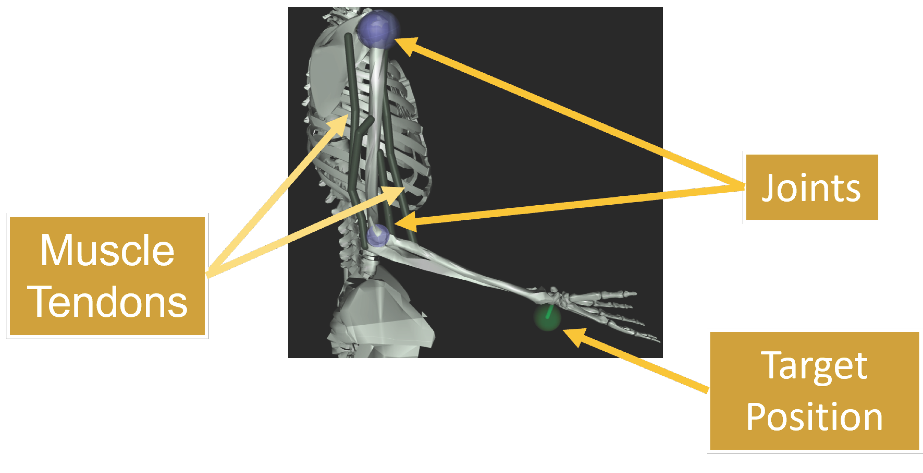 DRL System