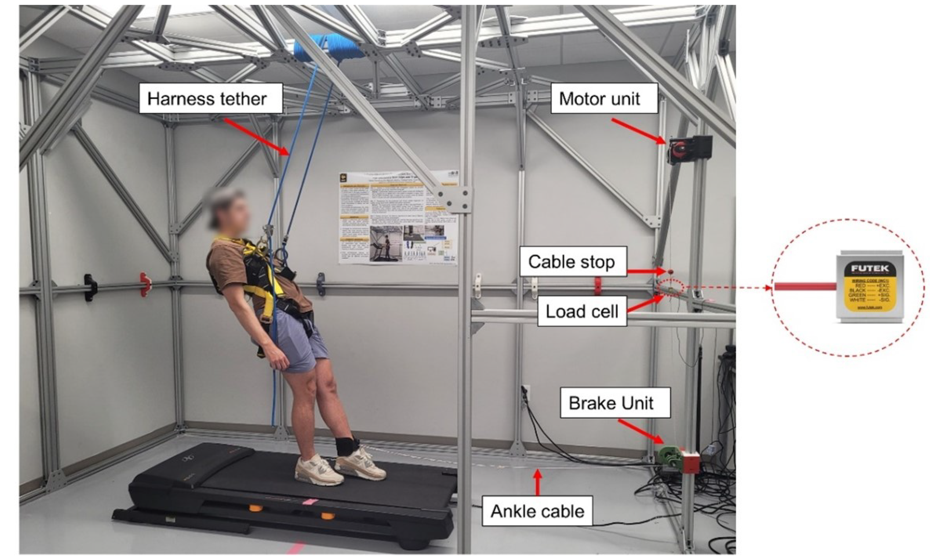 Fall Prevention System